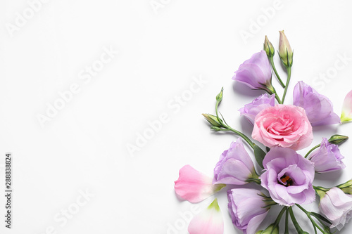 Beautiful Eustoma flowers on white background, top view. Space for text photo