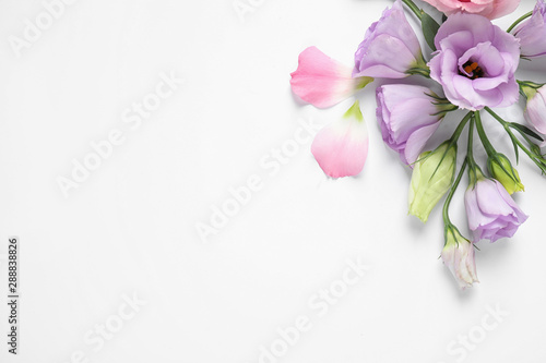 Beautiful Eustoma flowers on white background, top view. Space for text