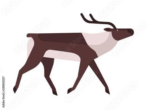 Majestic deer, reindeer flat vector illustration