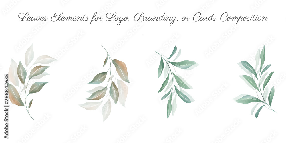 Hand drawn watercolor green leaves design elements. Illustration of leaf, branch, foliage for wedding, invitation, greeting cards, border compostion