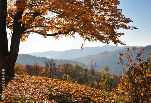 Landscape near Cesky Krumlov. Czech republic