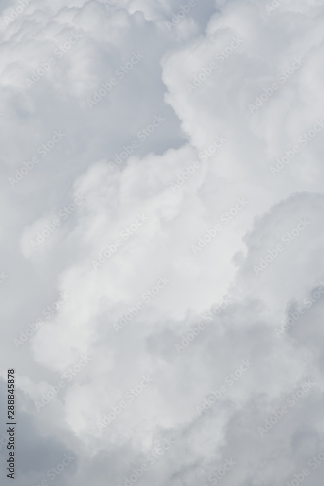 Obraz premium 夏の雲