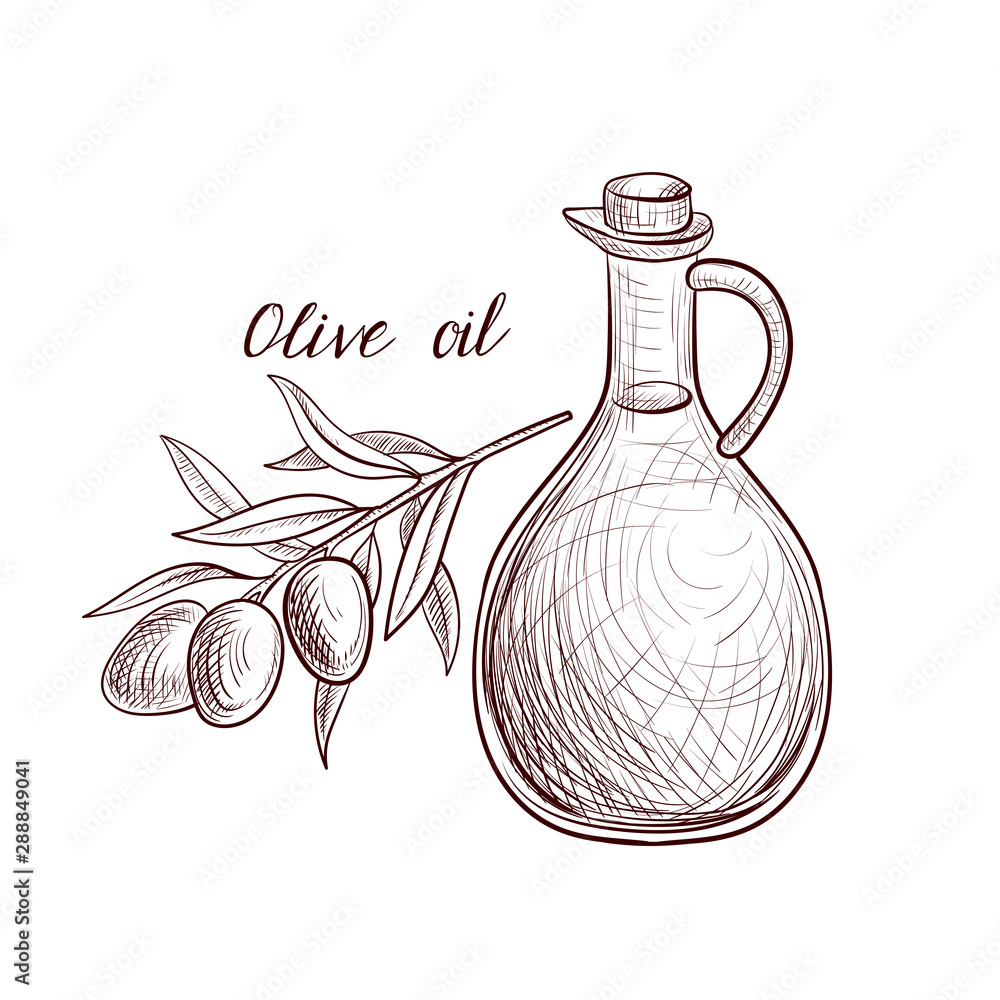 vector drawing olive oil vector drawing olive oil