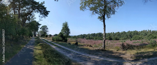 Nature reserve panorama around Giethmen photo