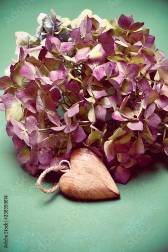 Grußkarte - Hortensie mit H...