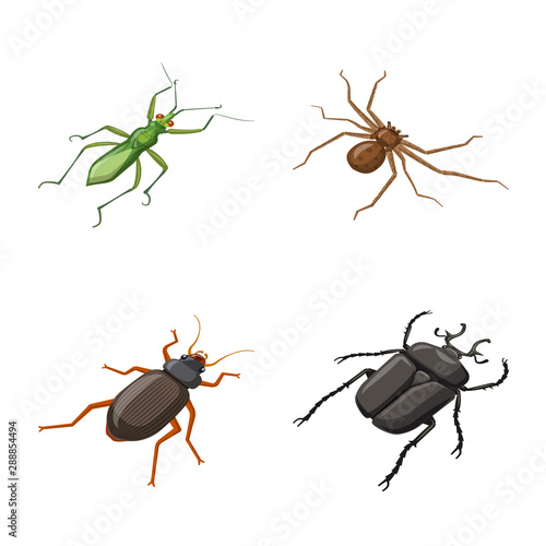 Vector design of insect and fly symbol. Set of insect and entomology vector icon for stock.