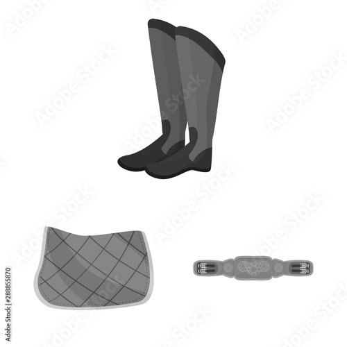 Isolated object of race and horse icon. Collection of race and racing stock symbol for web.