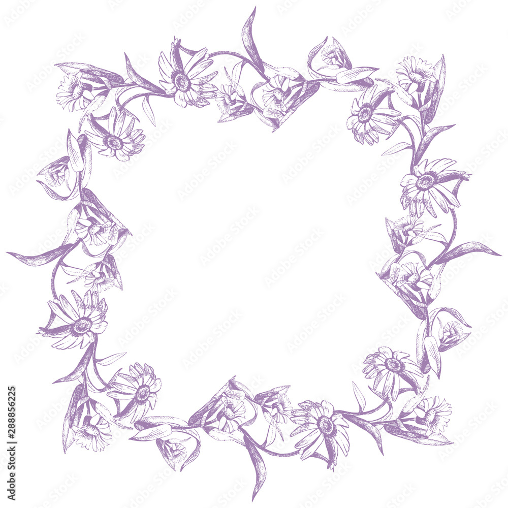 Frame of flowers drawn with ink and pen, vector plant illustration. Frame of flowers drawn with ink and pen, vector plant illustration.