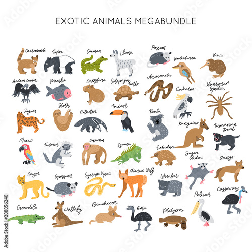 Fototapeta Naklejka Na Ścianę i Meble -  Animals clipart bundle vector
