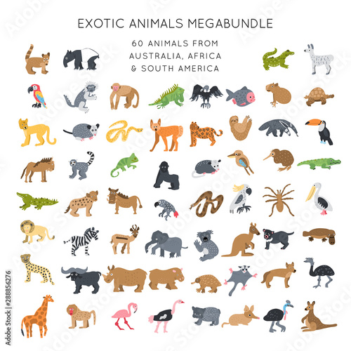 Animals clipart bundle vector