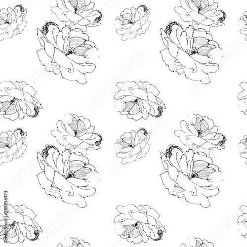 Vector seamless pattern of roses, graphic drawing ink and pen.