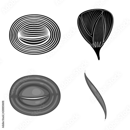 Vector design of fiber and muscular icon. Set of fiber and body vector icon for stock.