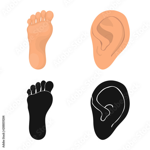 Vector illustration of body and part logo. Collection of body and anatomy vector icon for stock.