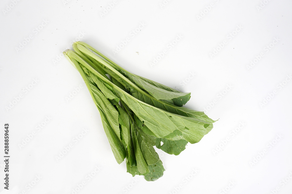 fresh green celery isolated on white background fresh green celery isolated on white background