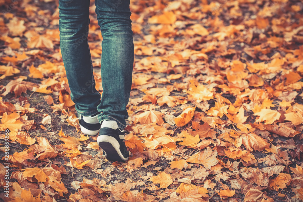 Male legs in jeans and sneakers walking out into the distance on the ground covered with fallen yellow leaves. Autumn arrival concept, close-up, copy space. Toned