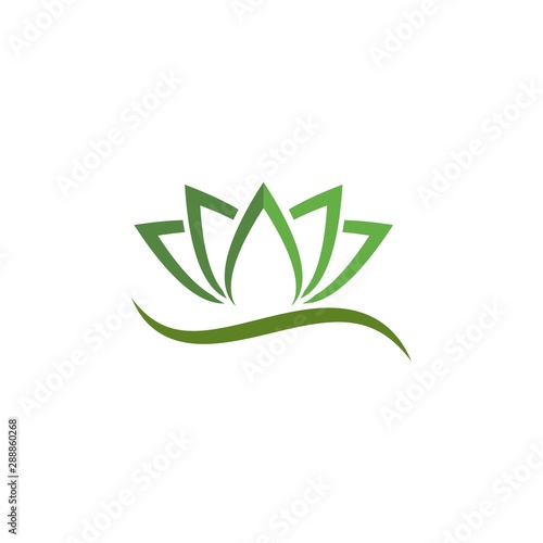 Beauty Vector Lotus flowers