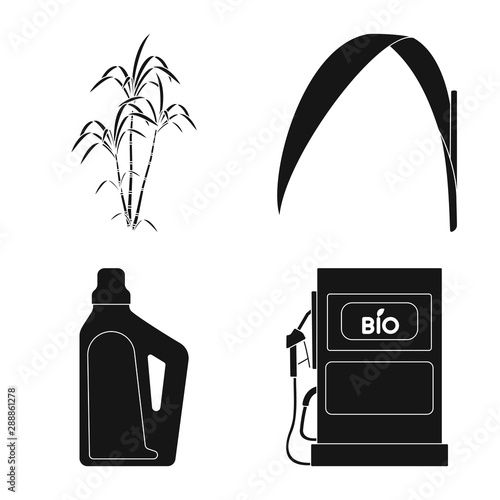Vector illustration of sucrose and technology logo. Set of sucrose and cane stock symbol for web.