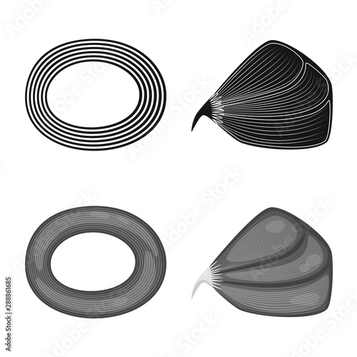 Vector design of fiber and muscular symbol. Set of fiber and body stock vector illustration.