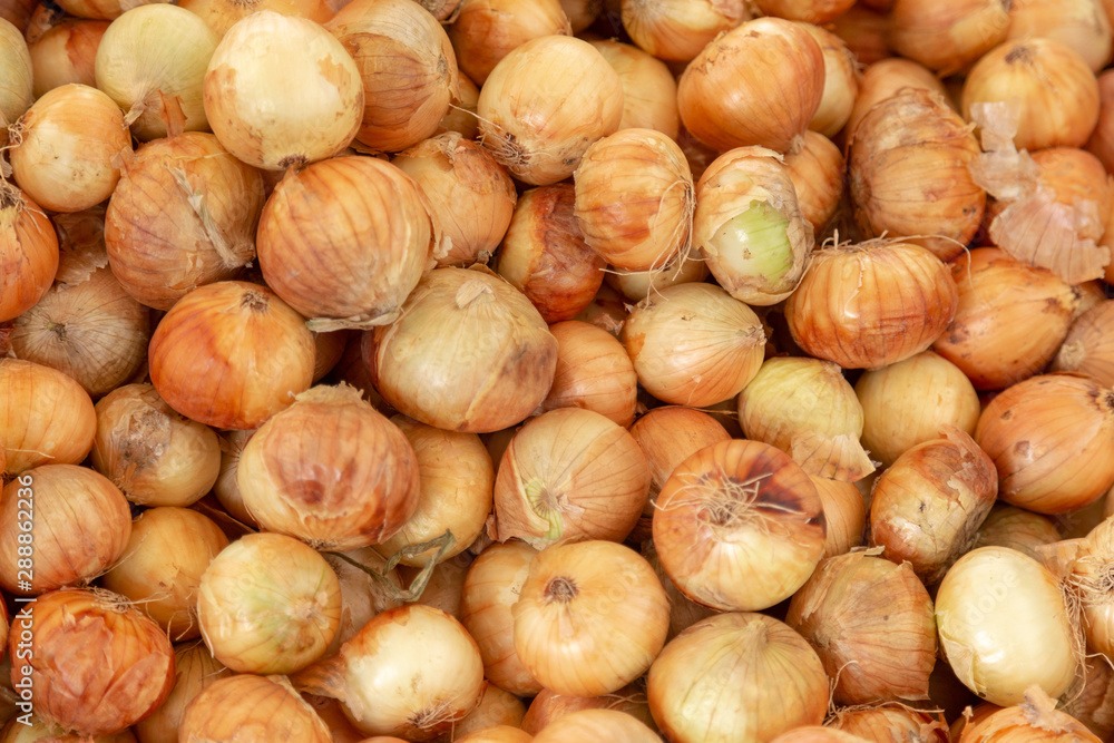 Close up on Market fresh organic yellow onion food background texture. Close up on Market fresh organic yellow onion food background texture.