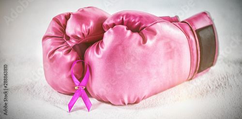 Wallpaper Mural Close-up of pink Breast Cancer Awareness ribbon with boxing gloves Torontodigital.ca