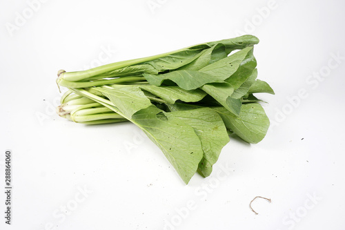 bunch of asparagus on white background