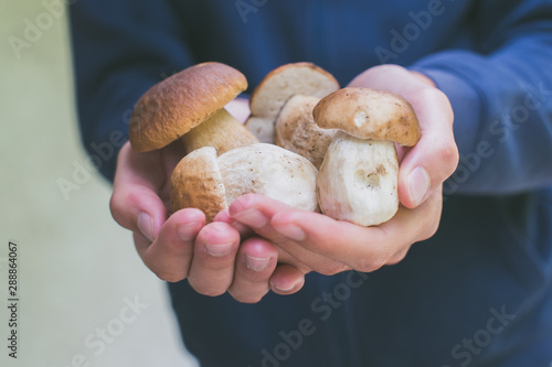 boy holding boletus edulis mushrooms freshly picked - raw food and healthy lifestyle