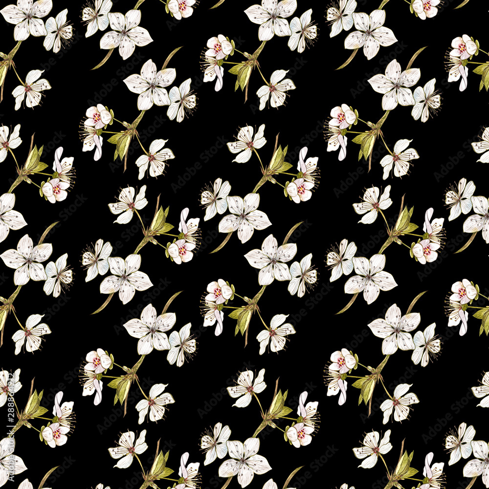 Ripe plum and branch with flowers. Plum drawing watercolor isolated on white background. Watercolor botanical illustration. Seamless patterns. Ripe plum and branch with flowers. Plum drawing watercolor isolated on white background. Watercolor botanical illustration. Seamless patterns.