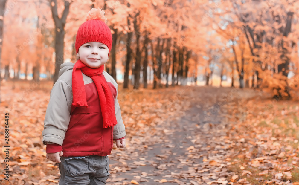 Children are walking in nature. Twilight kids are walking around the park. Brother with sister in autumn city park in leaf fall. Children are walking in nature. Twilight kids are walking around the park. Brother with sister in autumn city park in leaf fall.