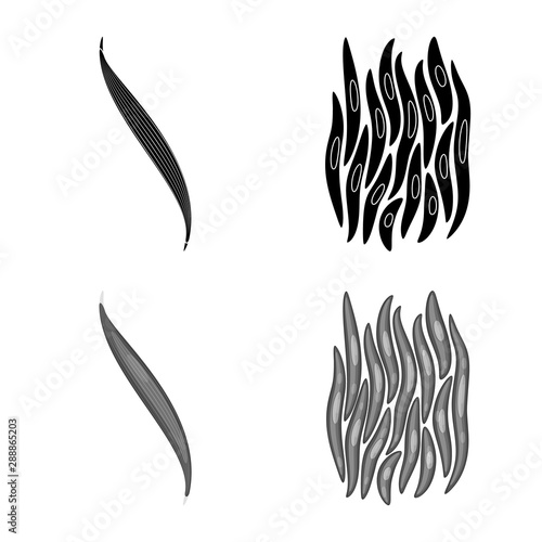 Vector design of fiber and muscular logo. Set of fiber and body stock symbol for web.