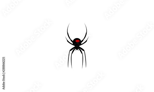 Black Spider