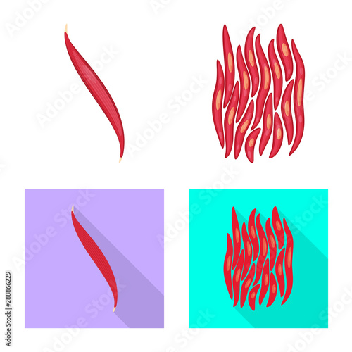 Vector illustration of fiber and muscular icon. Set of fiber and body stock vector illustration.