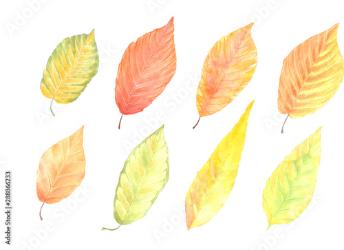 Set of autumn watercolor leaves. Background for advertising, photos, notebooks, notebooks, textiles.