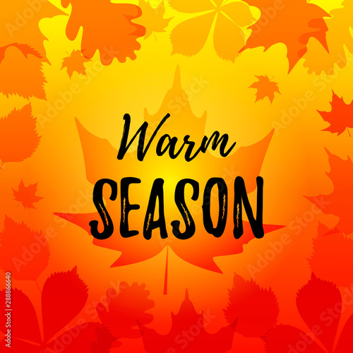 Autumn banner with maple leaves. Place for text. Vector illustration