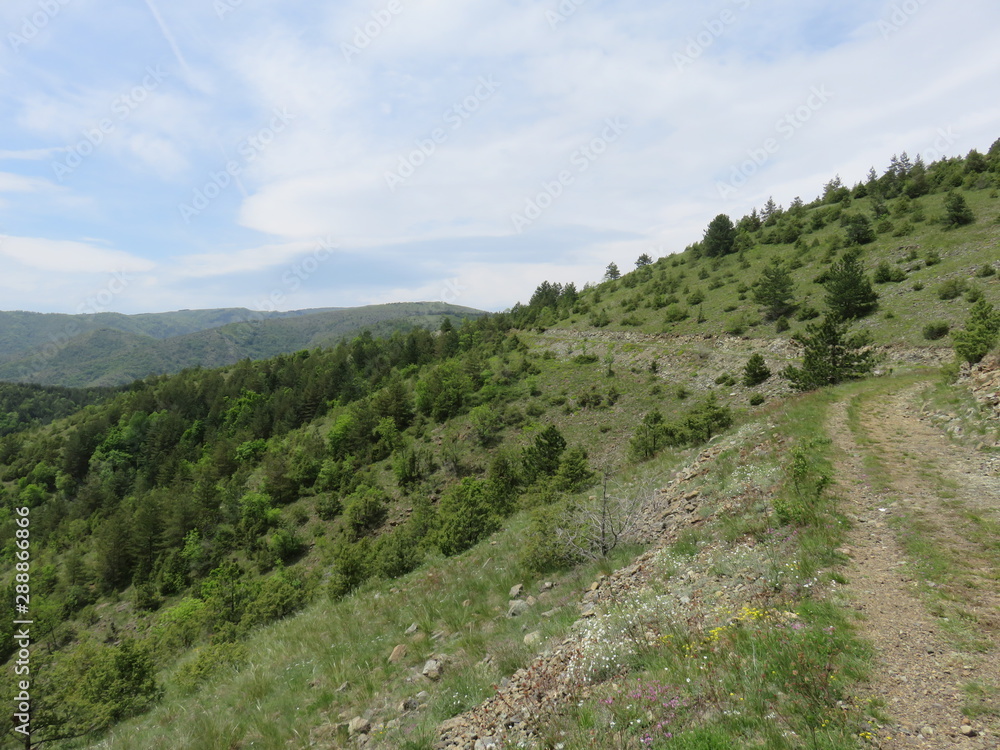 Mauntain Stolovi Serbia elevations with hiking trails