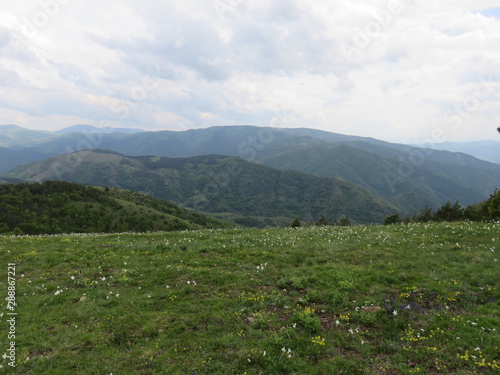 Mauntain Stolovi Serbia pasture wih distant mauntain range
