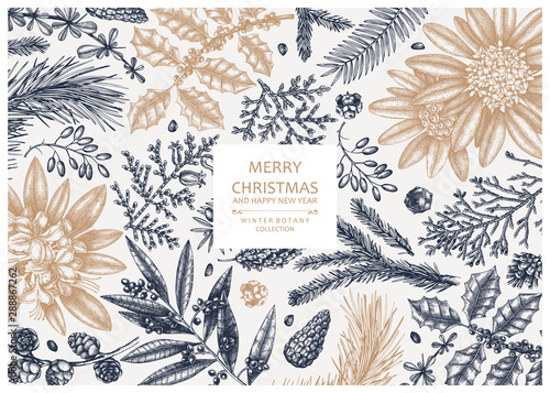 Christmas greeting card or invitation design. Vector frame with hand drawn conifers and evergreen plants sketch. Vintage background with botanical elements. Winter holidays template. Engraved style.