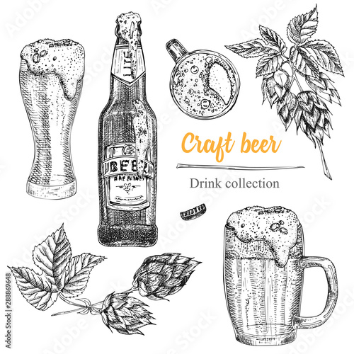 Set hand drawn sketch bottle and glasses beer, hop, wheat Vintage design bar, restaurant, cafe menu on white background. Creative template for flyer, banner, poster Engraving style