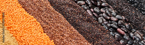 panoramic shot of black beans, rice, quinoa, buckwheat and red lentil