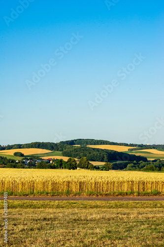 Saarland in July