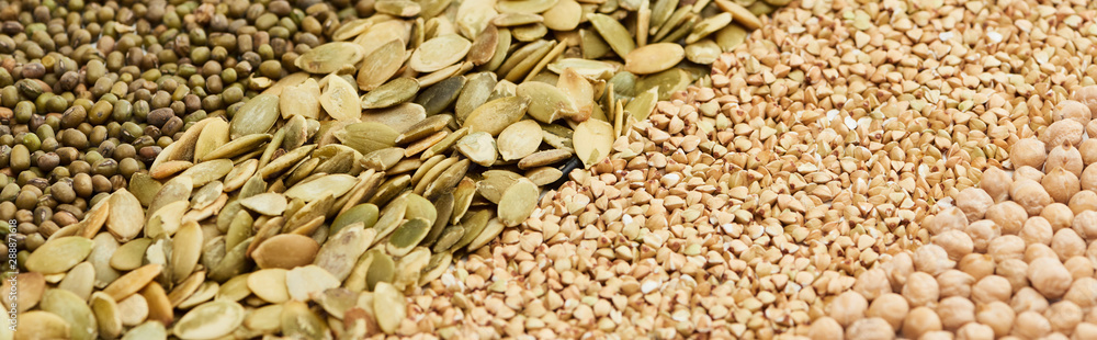 panoramic shot of moong beans, pumpkin seeds, raw buckwheat and chickpea panoramic shot of moong beans, pumpkin seeds, raw buckwheat and chickpea