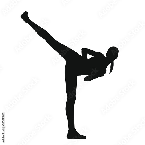 Martial Arts Silhouette