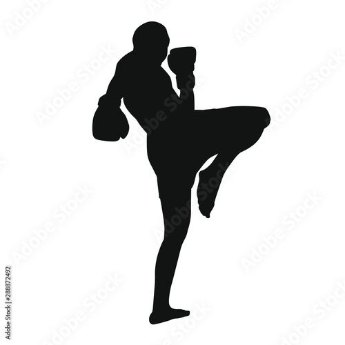 Martial Arts Silhouette