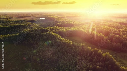 Aerial ecological forest sunset beautiful panorama shot. Ideal background for forest conservation, save biology and nature, ecology theme. Global warming and forest fire theme.