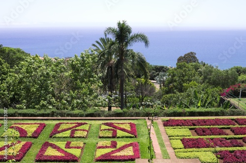 Botanical and tropical garden panoramic view with flowers and palms (Funchal, Madeira, Portugal)