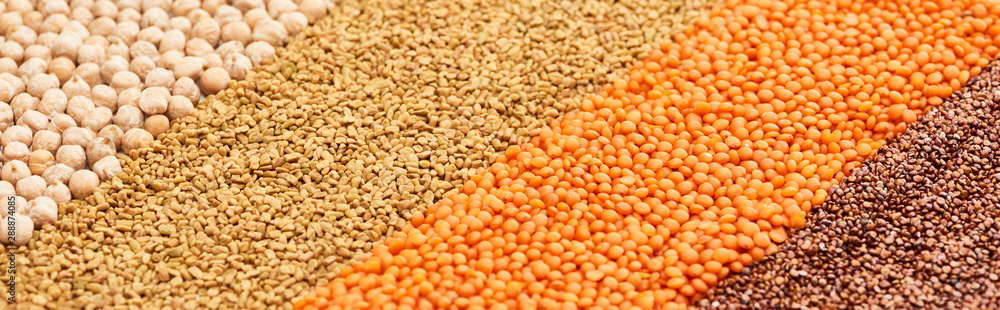 panoramic shot of chickpea, buckwheat and red lentil panoramic shot of chickpea, buckwheat and red lentil