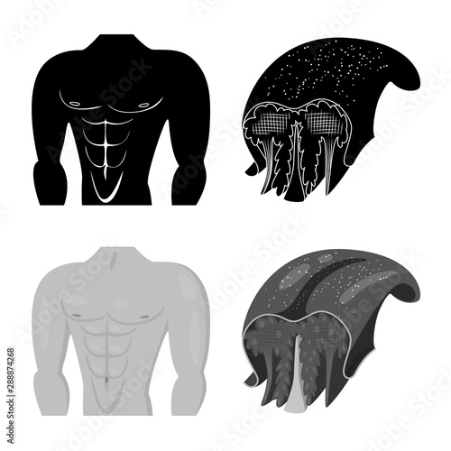 Vector illustration of fiber and muscular icon. Set of fiber and body stock symbol for web.