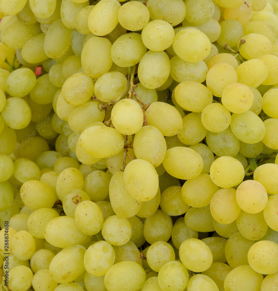 fresh and organic grapes at the market fresh and organic grapes at the market