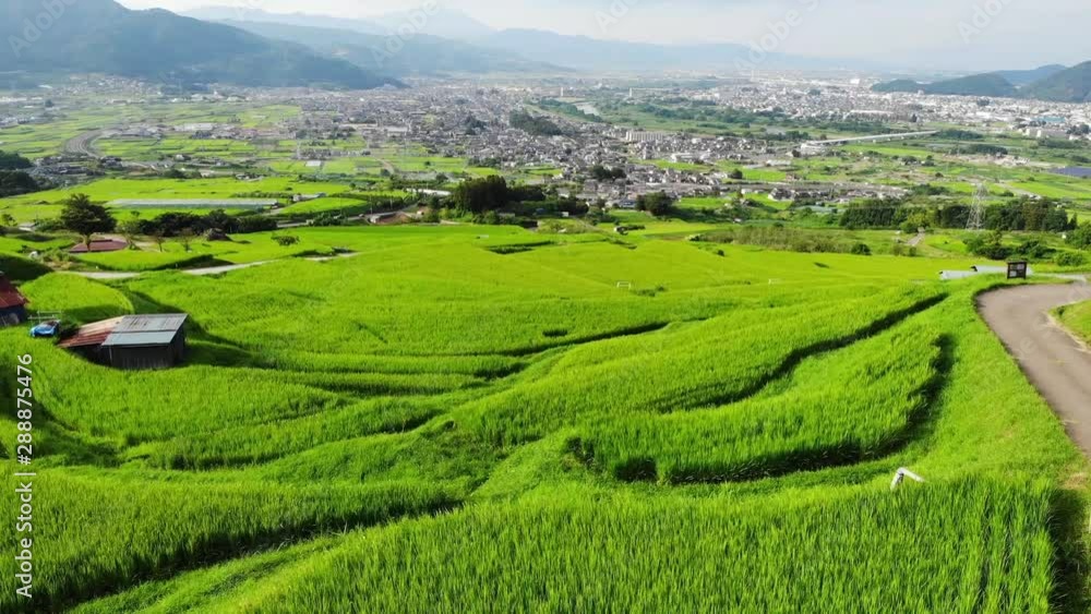 姨捨の棚田(ドローン空撮) 姨捨の棚田(ドローン空撮)