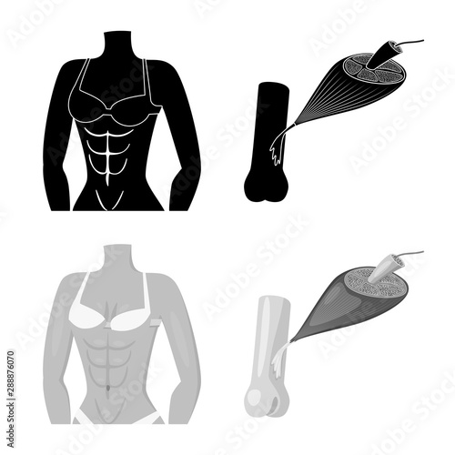 Isolated object of fiber and muscular icon. Set of fiber and body stock vector illustration.