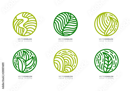 Set of round bio emblems in a circle linear style. Tropical plant green leaves logo. Vector abstract badge for design of natural products, flower shop, cosmetics, ecology concepts, health, spa